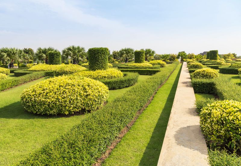 Shrubs with Well-Defined Shapes